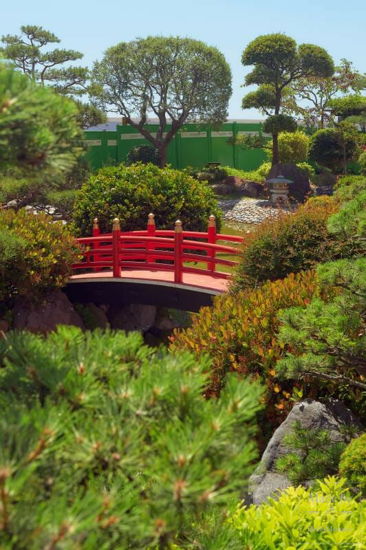 The Japanese Garden