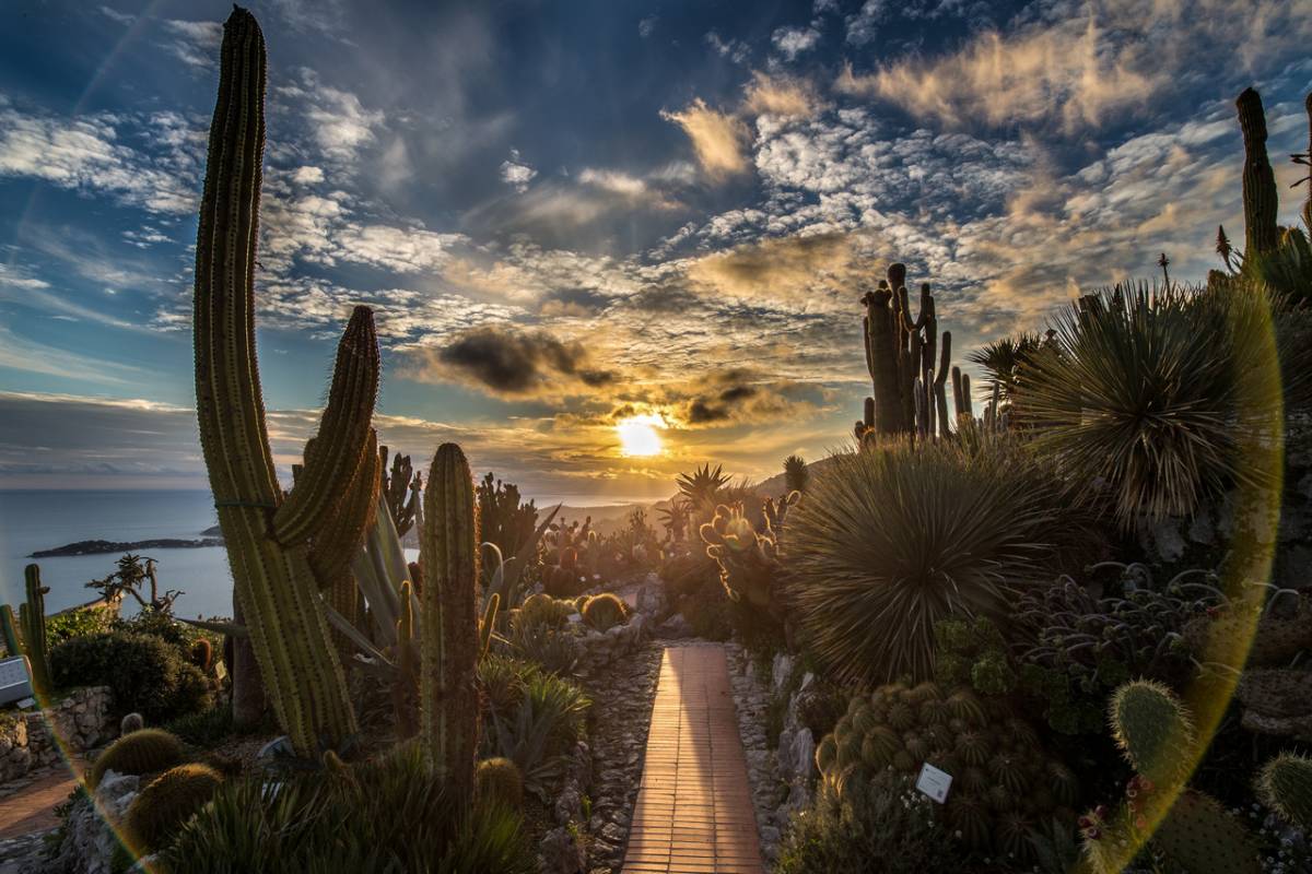 Exceptional gardens not far from Monaco