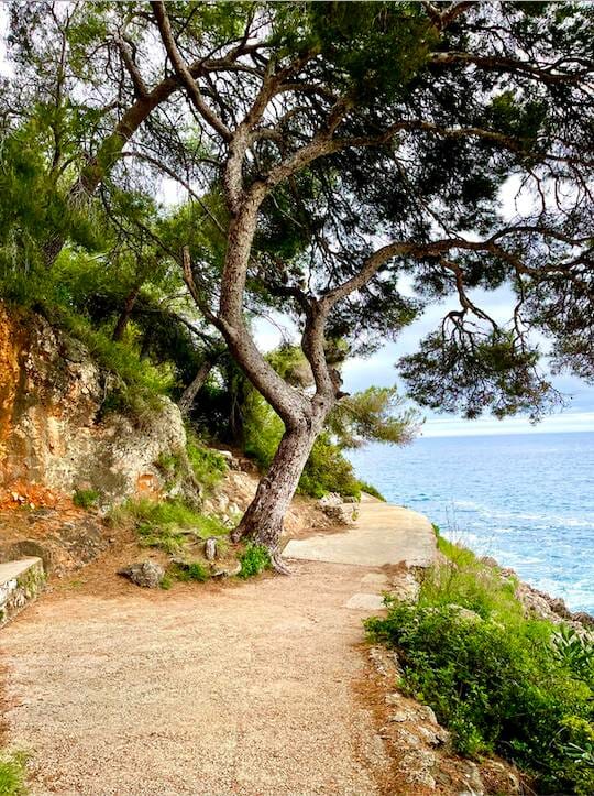 Promenade Le Corbusier