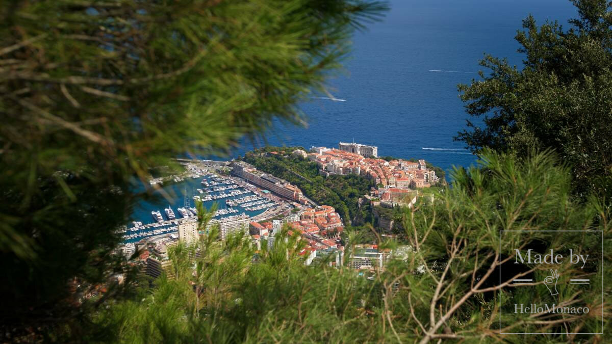 Monaco view