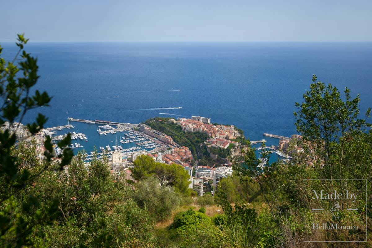 Monaco view