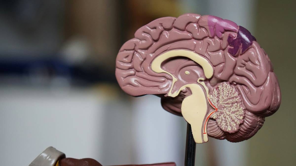 Monaco Scientific Centre makes a Breakthrough in Brain Cancer Treatment