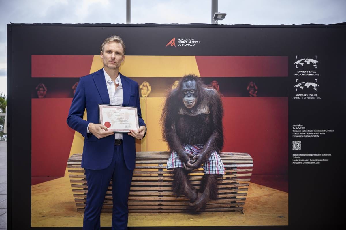Winners of the Prince Albert II of Monaco Foundation Environmental Photography Awards
