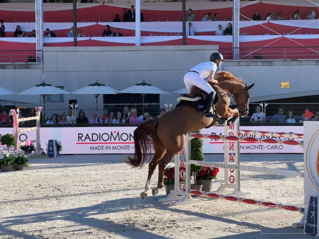 The Monte-Carlo International Jumping