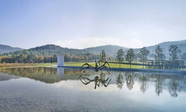 Château La Coste: a walk through a wine estate, revealing masterful art 