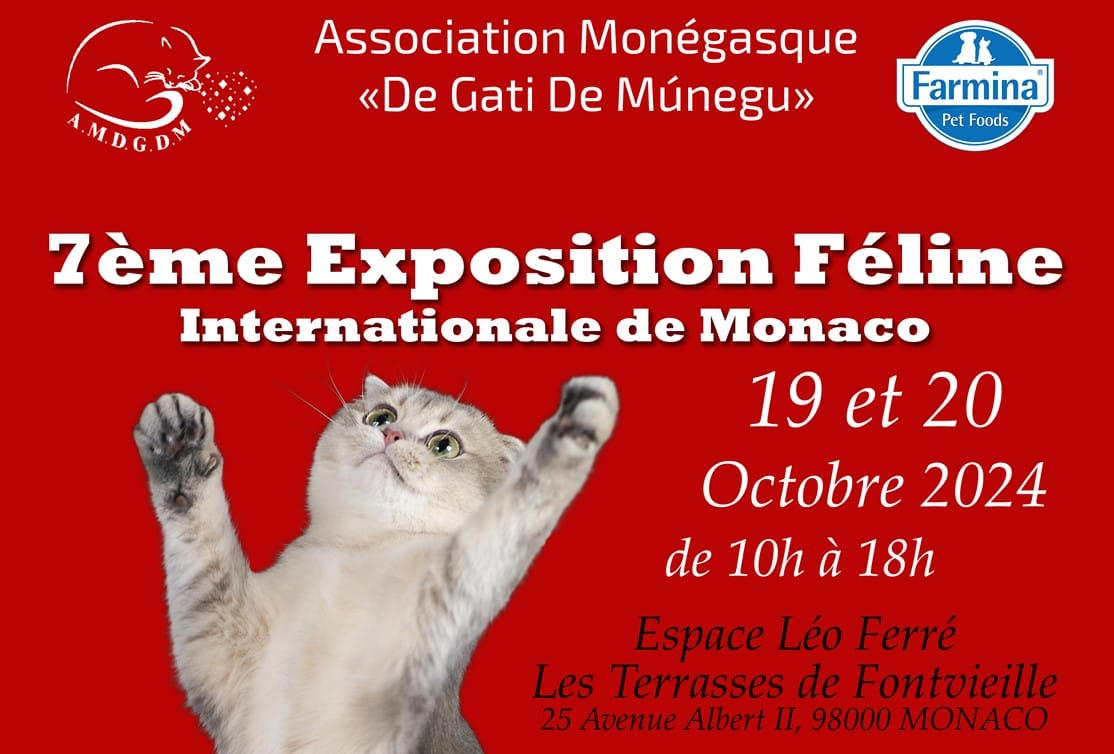 International Cat Show