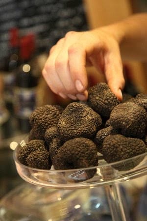 Passion for Truffles