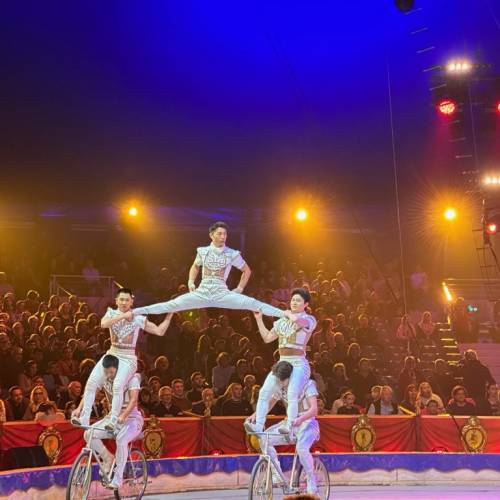 47th International Circus Festival